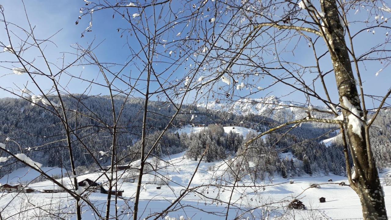 Apartament Haus Ruetzbach Neustift im Stubaital Zewnętrze zdjęcie