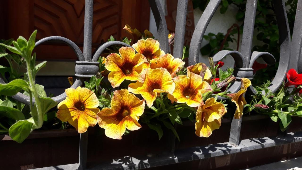 Apartament Haus Ruetzbach Neustift im Stubaital Zewnętrze zdjęcie